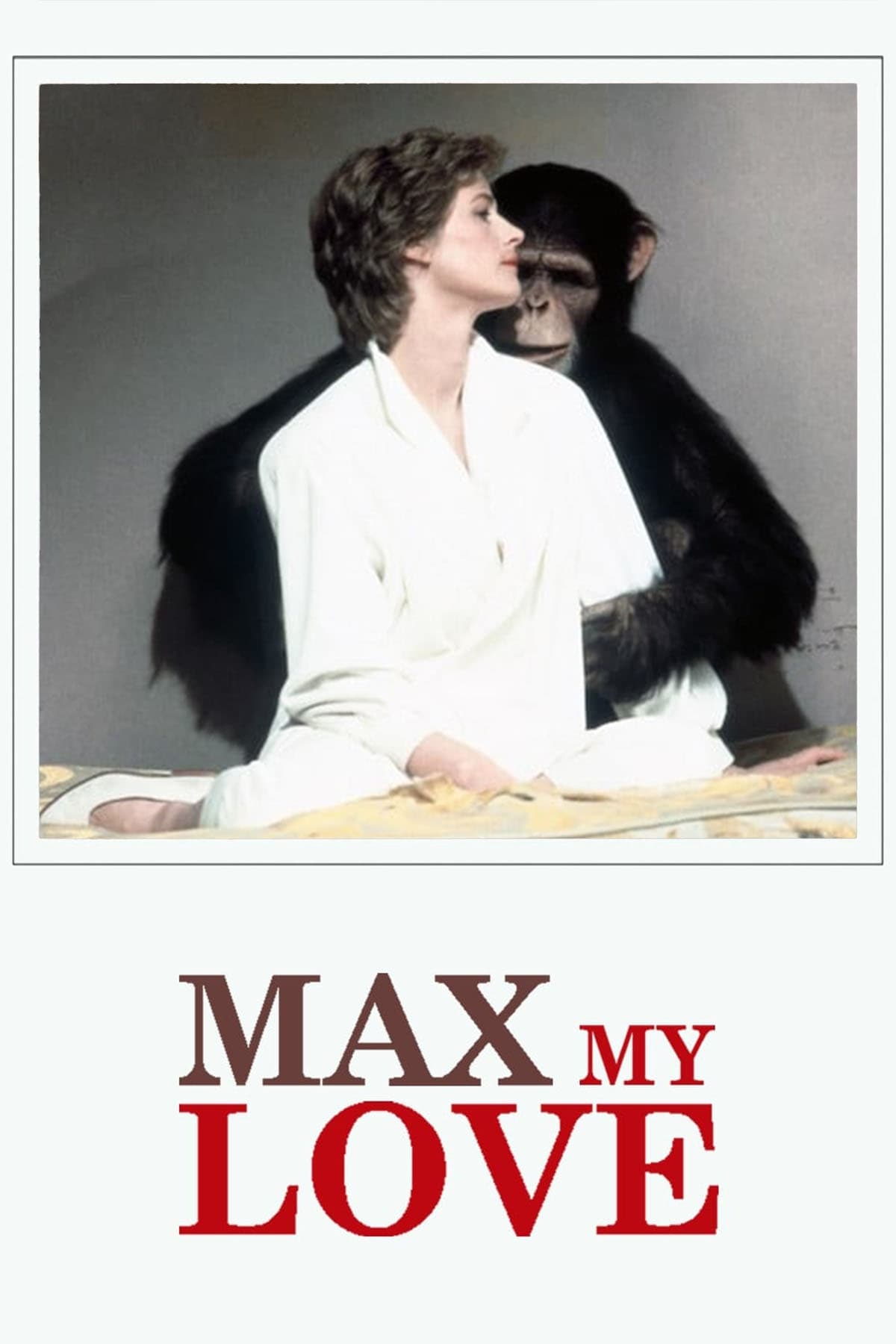 Постер Max mon amour
